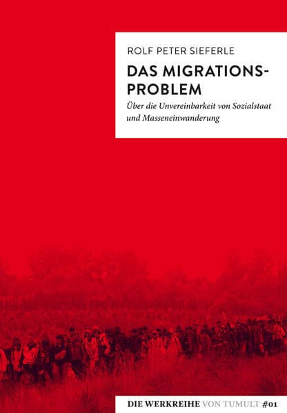 Cover: Das Migrationsproblem