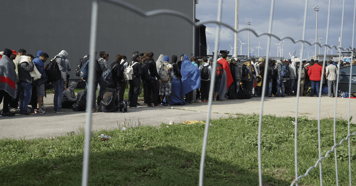 Vilimsky: „Österreich ist zum Migrationsmagneten geworden“