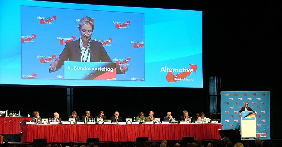 CDU-Nachwuchspolitiker: „AfD wird sich als Volkspartei etablieren“