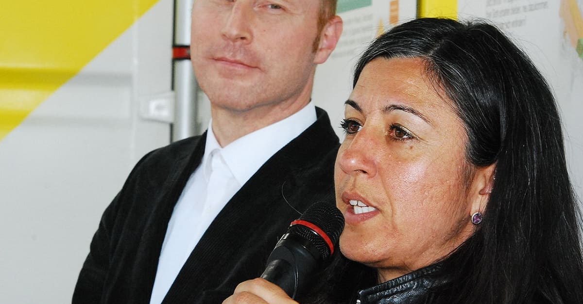 Wiener Grüne: Vassilakou kündigt Rückzug aus Politik an