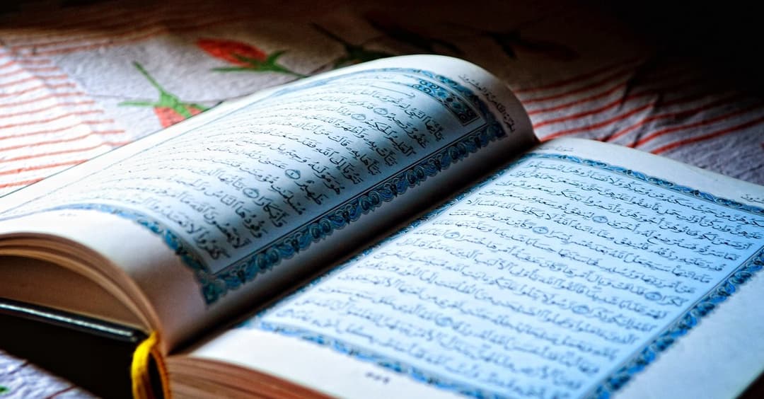 Hamburger Grünen-Abgeordnete sollen Islamismus nahestehen