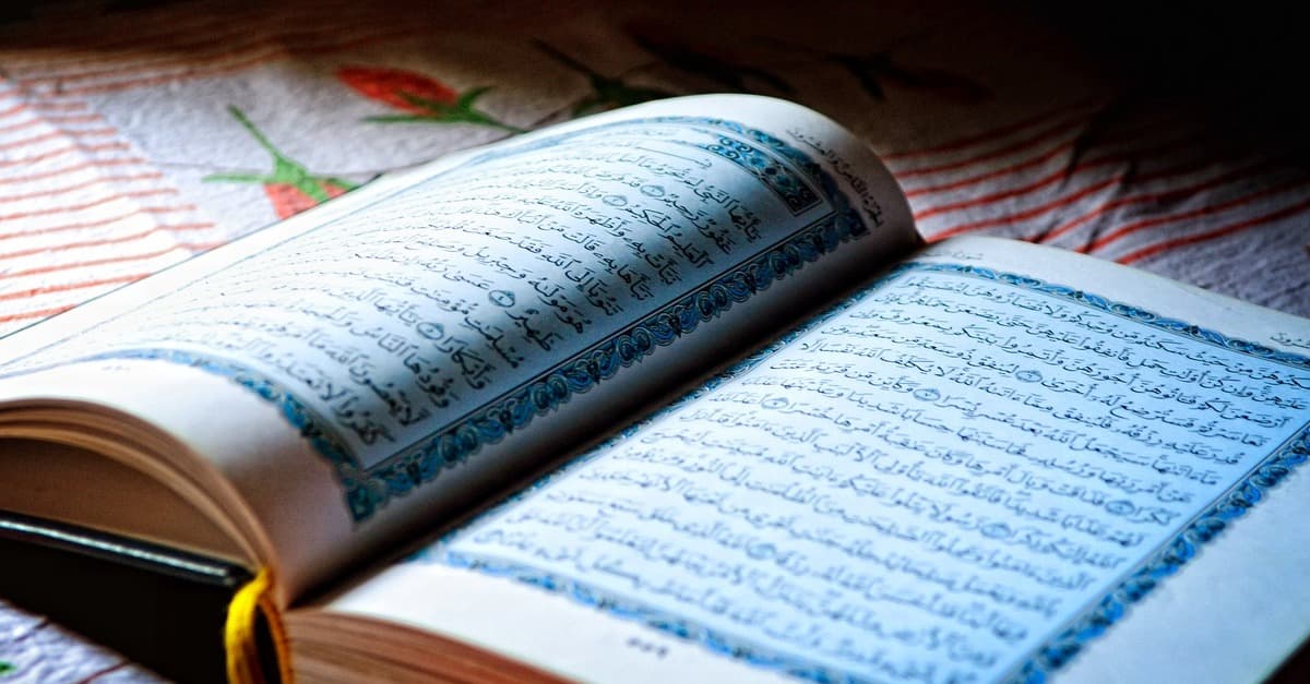 Hamburger Grünen-Abgeordnete sollen Islamismus nahestehen