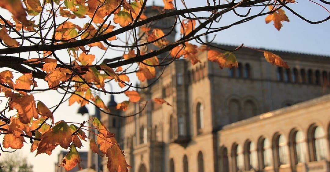 Hannover: Unis führen Armbänder für Corona-Einlass-Kontrollen ein
