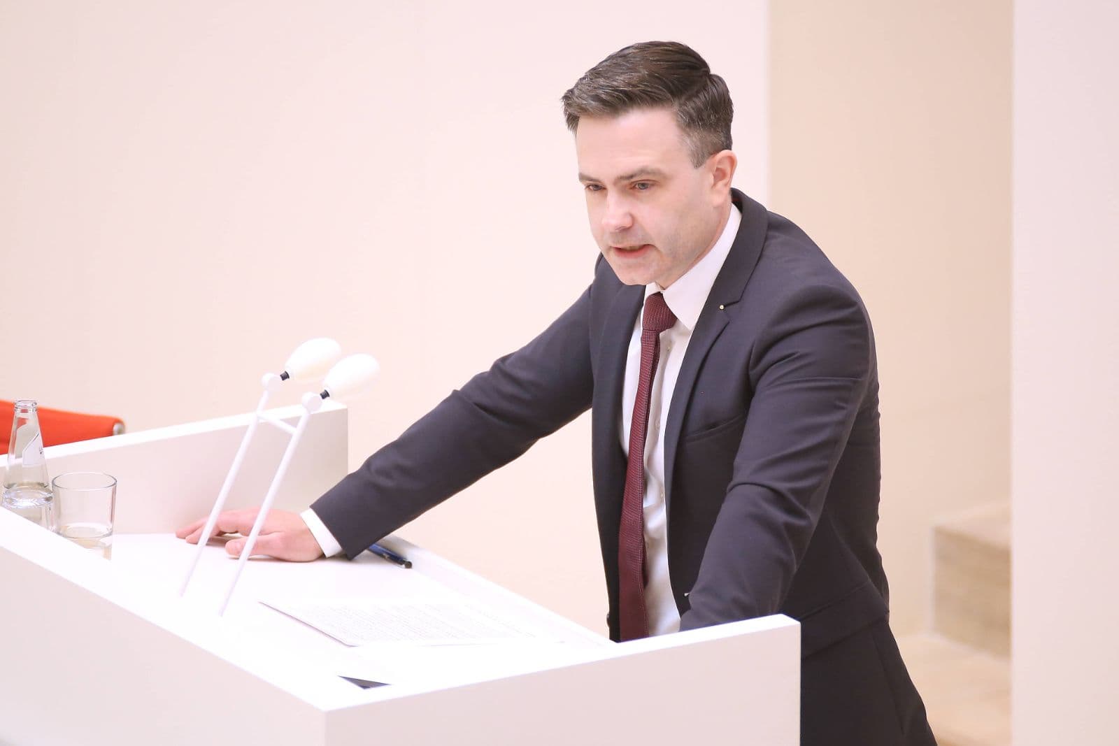 Nach unbequemen Worten über Polens Vergangenheit: Welle des Hasses gegen AfD-Politiker