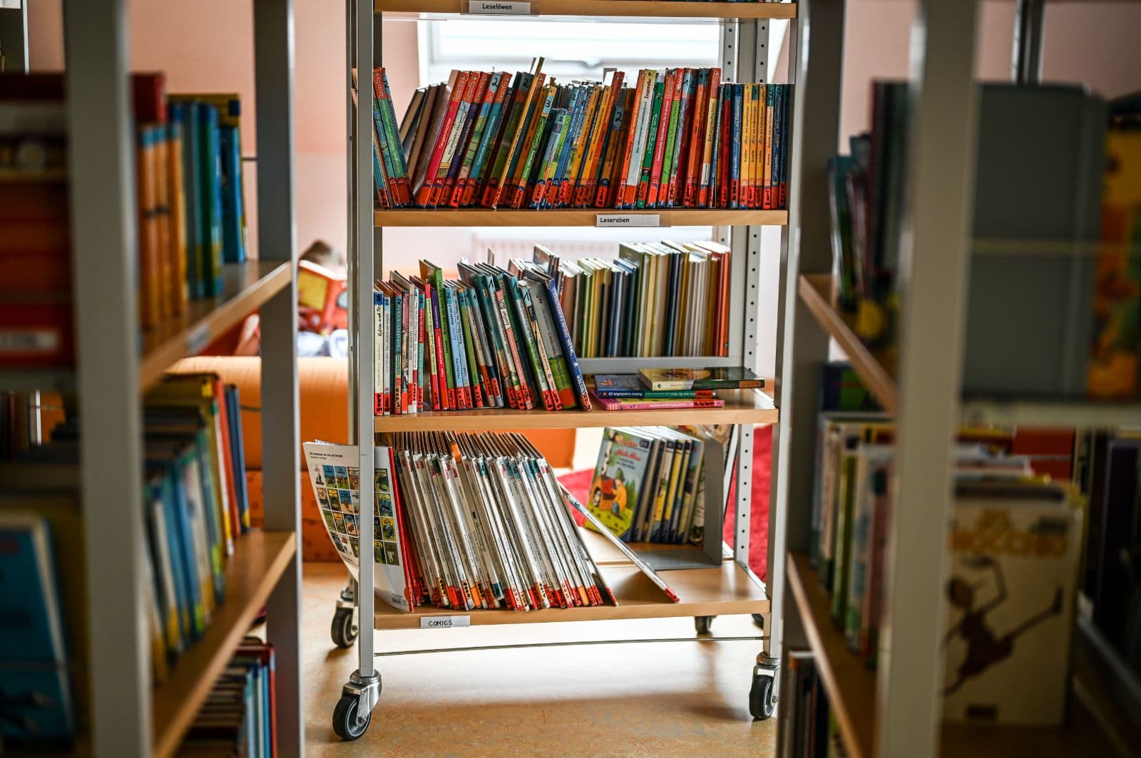 Studie warnt vor „geschlechtsspezifischen“ Stereotypen in Kinderbüchern