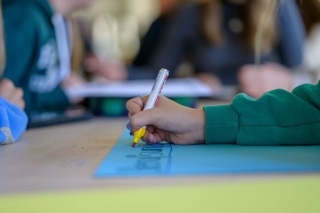 Anfrage legt offen: Linke NGOs dominieren Bildungsarbeit an sächsischen Schulen