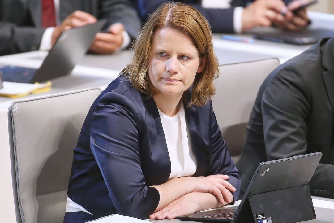 Niedersachsen: Grüne Ministerin will, dass Lehrer ihre Schüler vor der AfD warnen