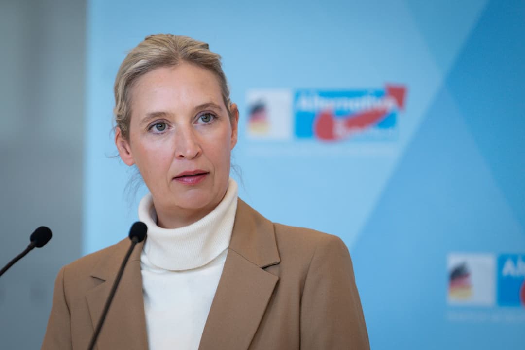 „Agitator der sozialen Marktwirtschaft“: Warum ich die AfD nicht unterstütze