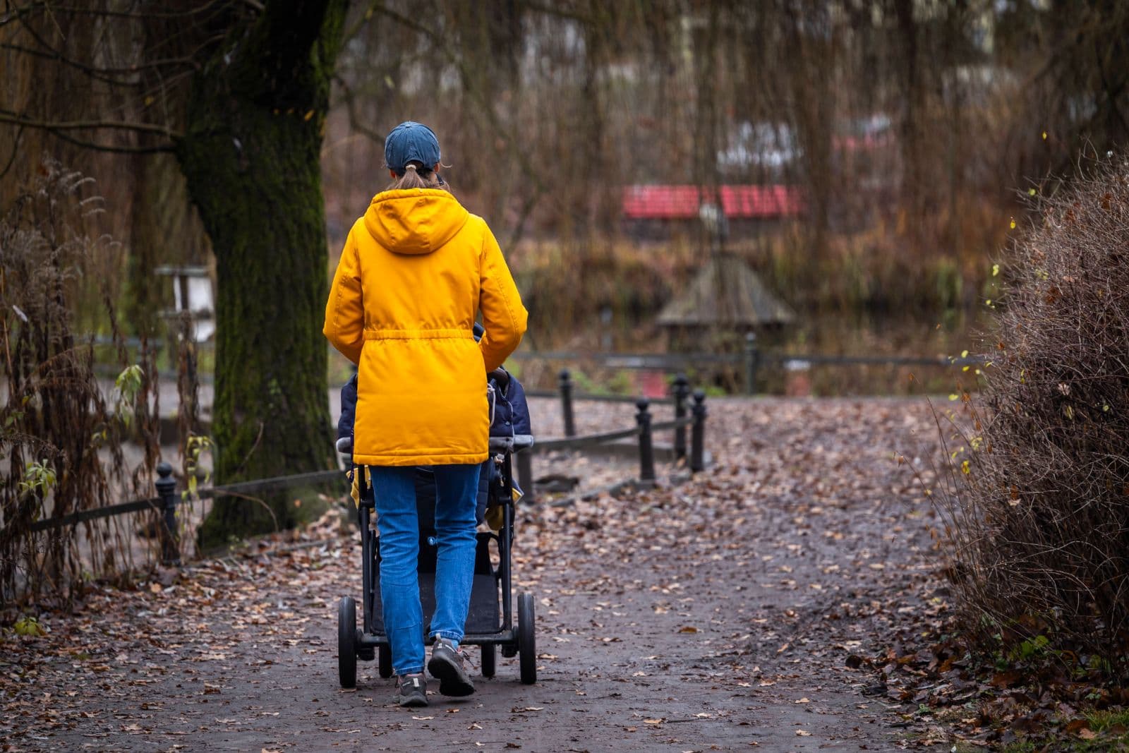 EU-Abgeordneter Hauser warnt: Niedrige Geburtenraten bedrohen die Zukunft Europas