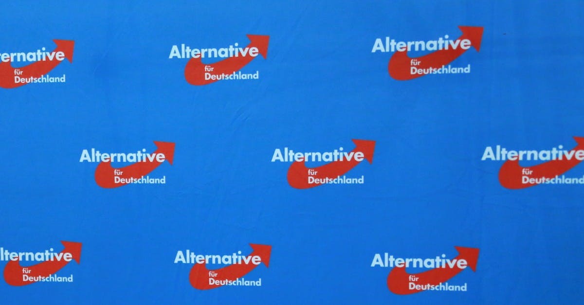 Wahlkreisprognose: Derzeit sechs AfD-Direktmandate in Westdeutschland möglich