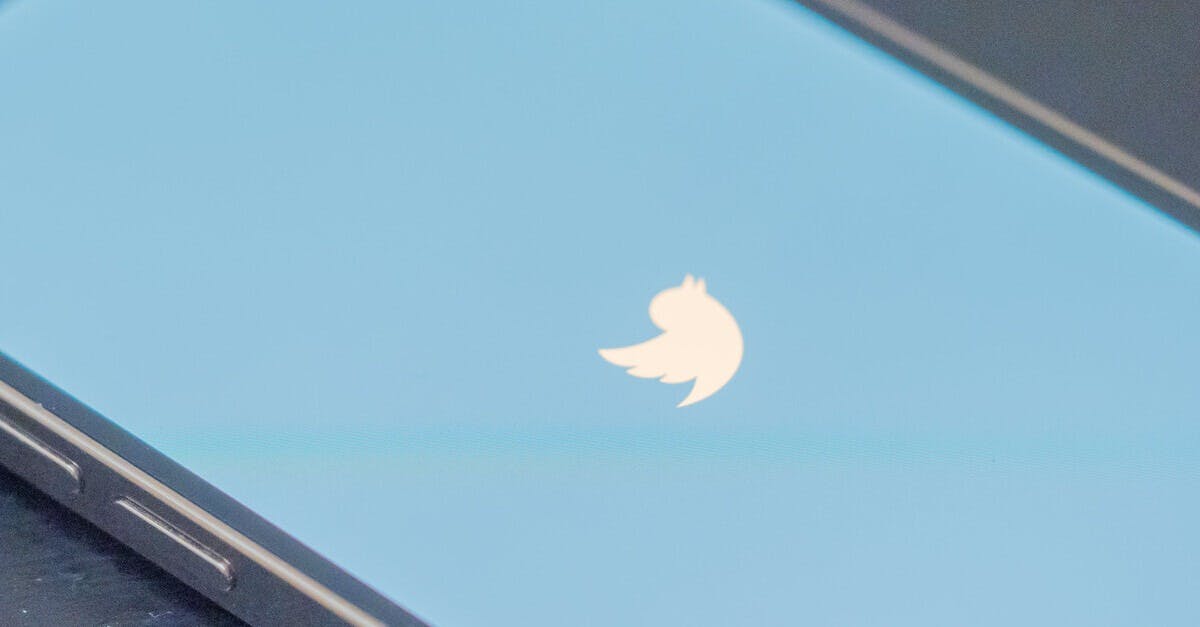 Twitter soll Richtlinien für Kontensperren überarbeiten