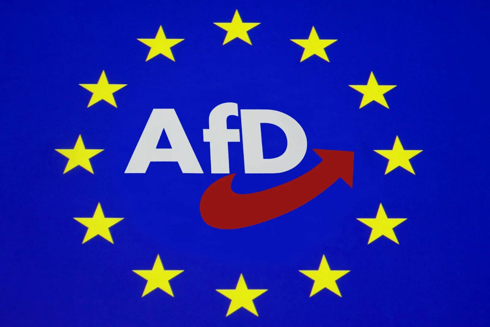 Europawahl-Versammlung der AfD: Die Partei muss klug wählen!