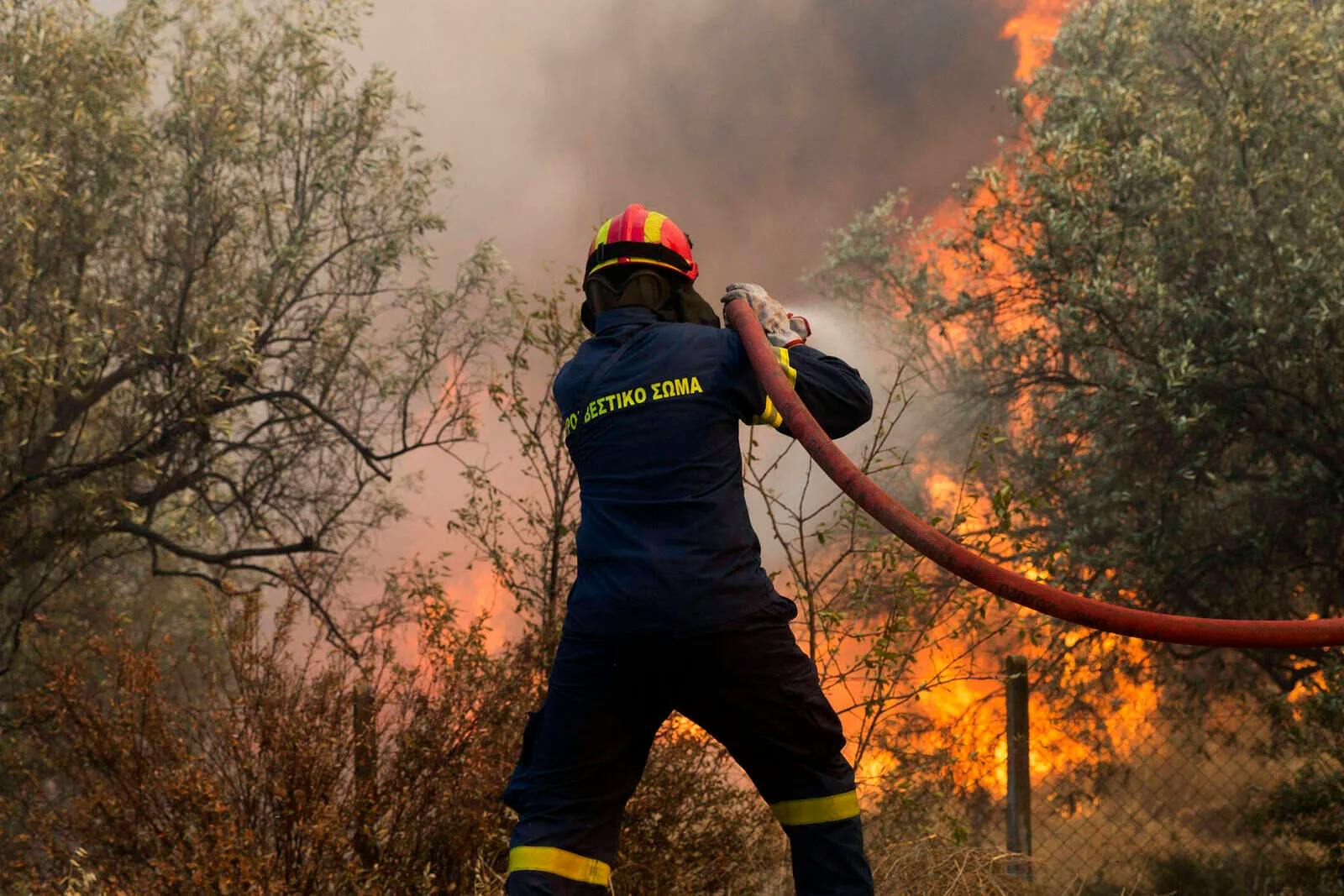 Waldbrände in Europa auf Niedrigstand