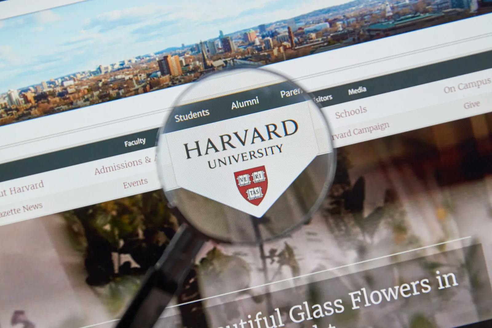 Redefreiheit an US-Universitäten: Harvard erhält null von 100 möglichen Punkten