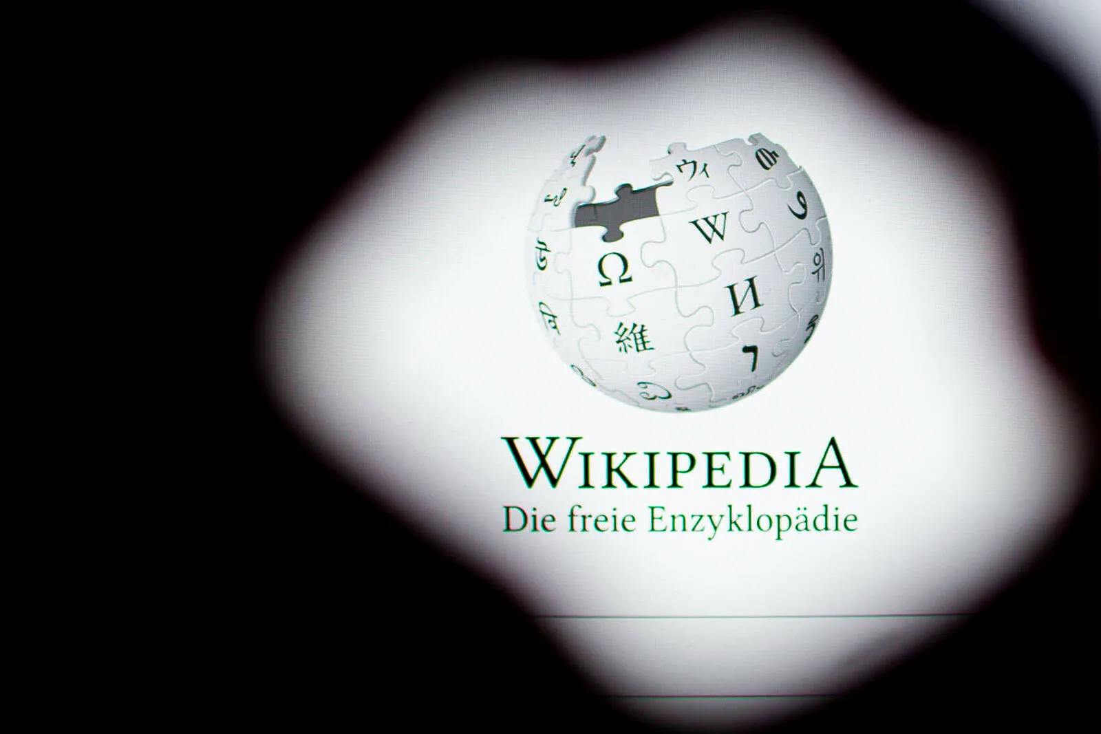 Wie ein einzelner Wikipedia-Nutzer die AfD als „rechtsextrem“ brandmarkt