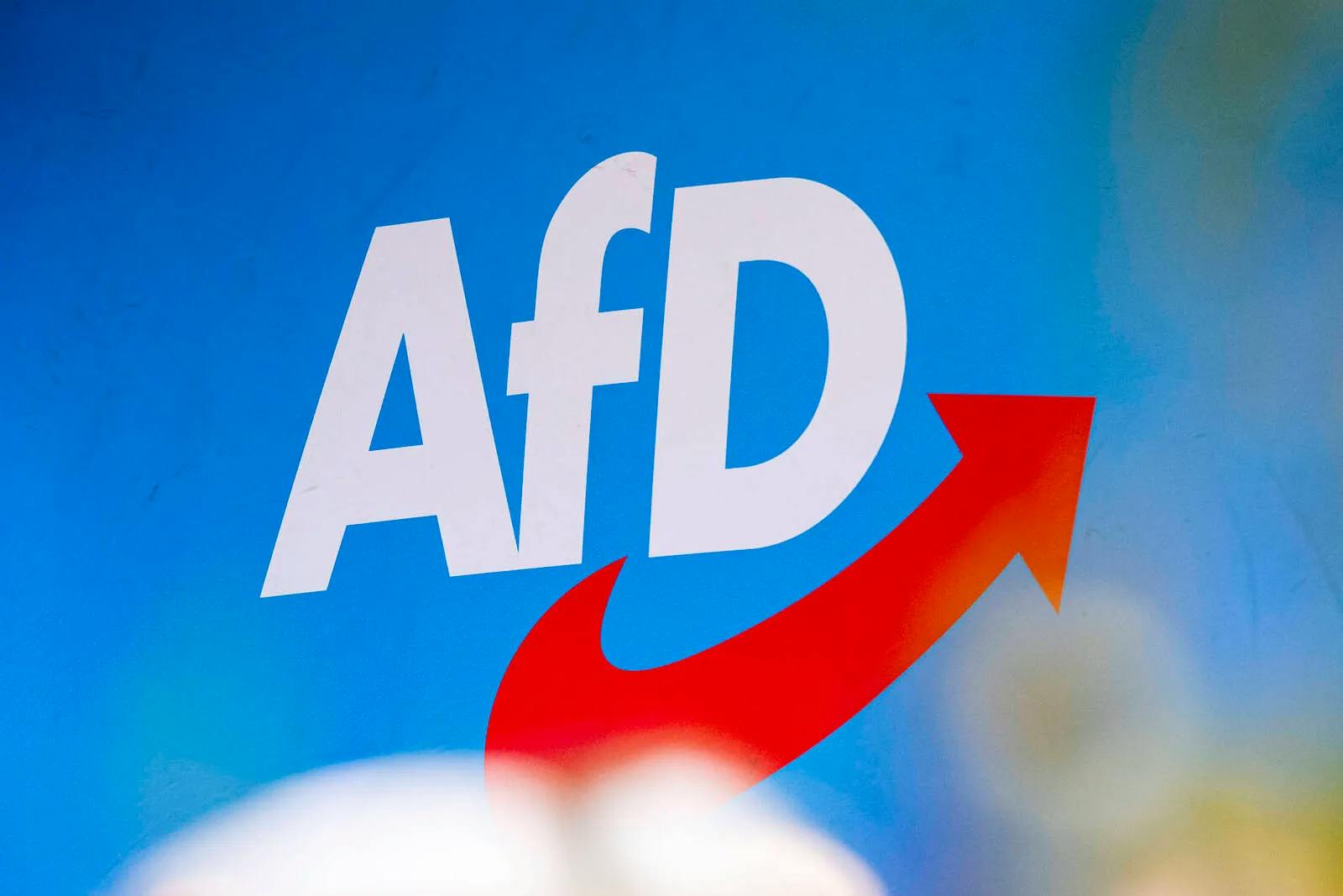 Umfrage-Hammer: AfD Niedersachsen erreicht Rekordwert im Westen