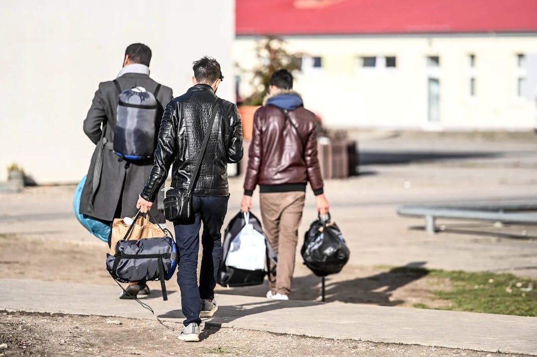 Sachsen: Von 17.484 Asylbewerbern waren nur 75 politisch verfolgt