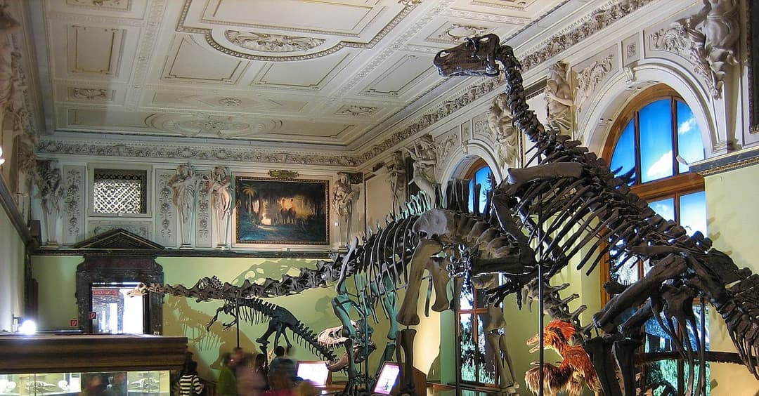 „Letzte Generation“: Hausverbot für drei Klimaaktivisten im NHM Wien