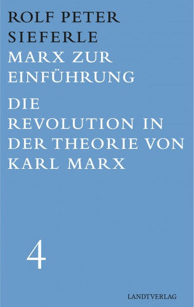 Marx zur Einführung. Die Revolution in der Theorie von Karl Marx