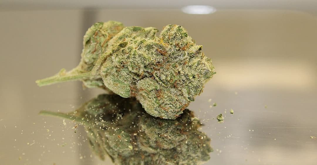 Kinder- und Jugendärzte gegen Cannabis-Legalisierung in Deutschland