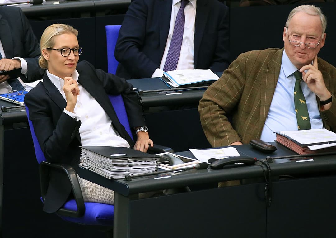Neue Umfrageergebnisse: Fünf interessante Fakten zur AfD und ihren Wählern
