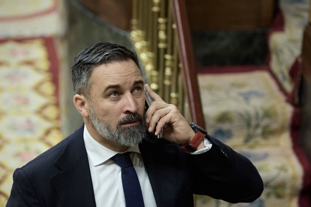 Europapartei: Vox-Chef Abascal wird Vorsitzender der „Patrioten für Europa“