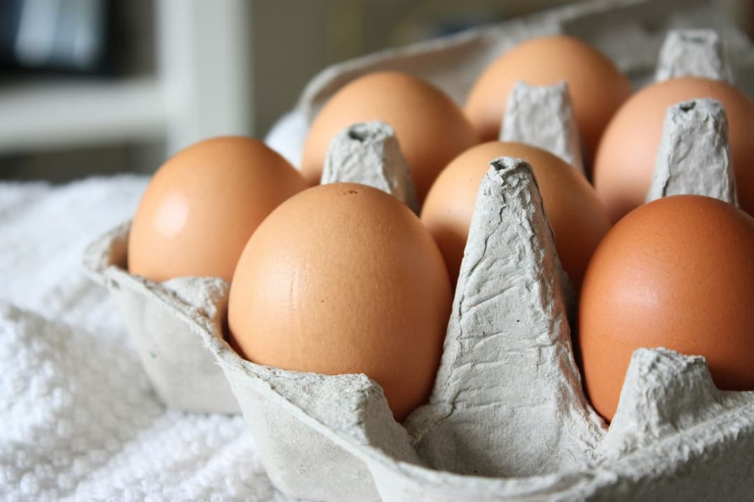 Erzeuger schlagen Alarm: Eier werden in Deutschland zur Mangelware
