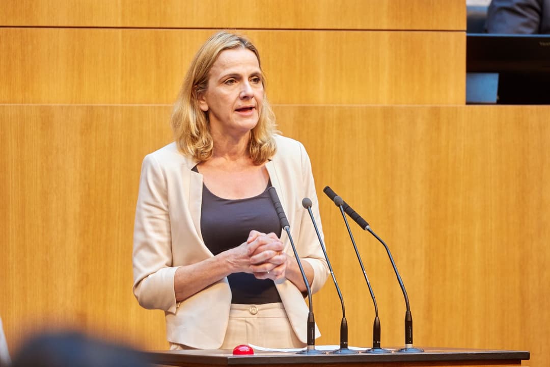 FPÖ wollte mehr Transparenz bei NGOs: Antrag erhielt keine Mehrheit