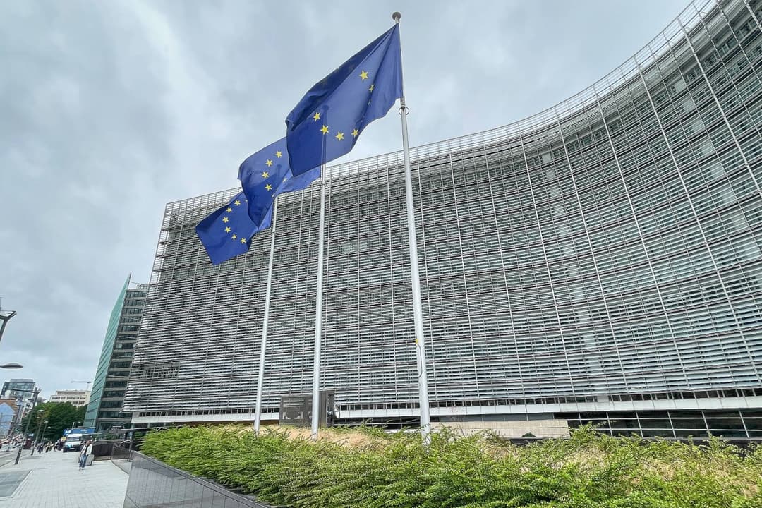 Millionen aus EU-Töpfen für Lobbyarbeit? Deutsche Regierung zeigt sich zurückhaltend