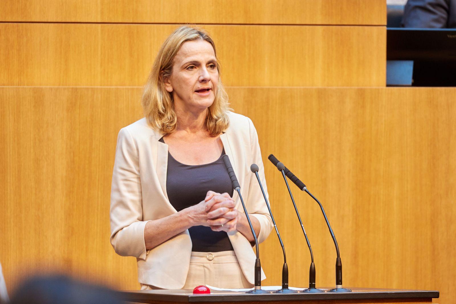 FPÖ wollte mehr Transparenz bei NGOs: Antrag erhielt keine Mehrheit