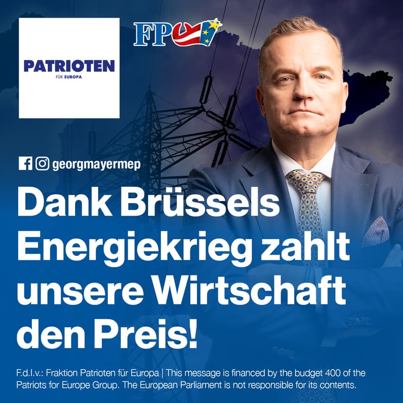 Georg Mayer - Dank Brüssels Energiekrieg zahlt unsere Wirtschaft den Preis!